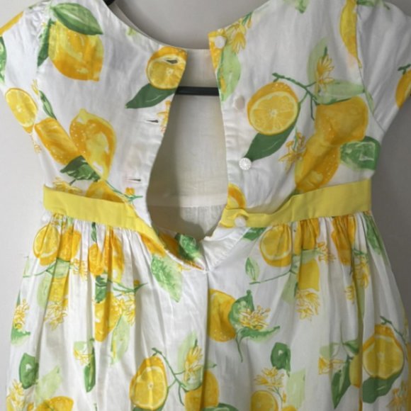 Charming Lemon Print Dress perfect for Easter by Gymboree, Size 4T - Picture 4 of 5